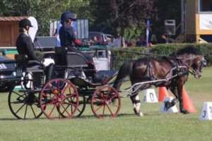 Jámbor Blanka: Magyar Bajnok lettem... |2.rész|