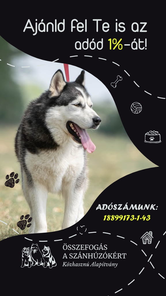 Az összefogásra nagyobb szükség van, mint&nbsp;valaha!